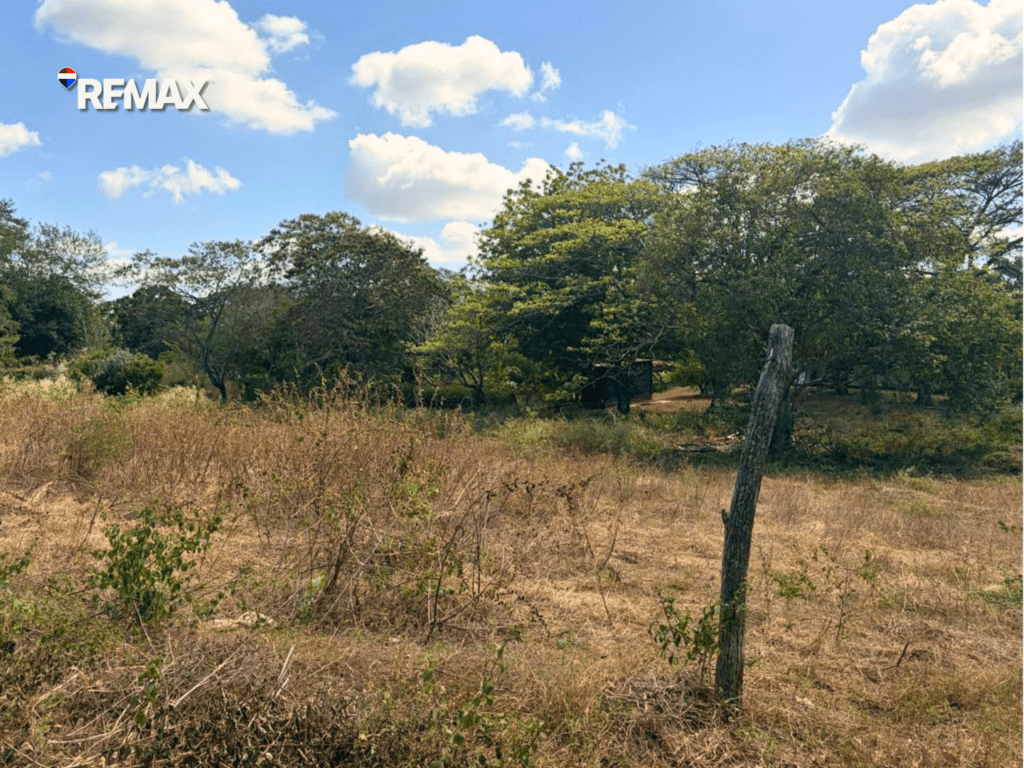 Amplio Terreno con Potencial de Inversión, Camino a Las Jagüitas