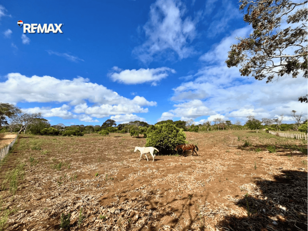 Amplio Terreno en Ctra. Masatepe – Jinotepe