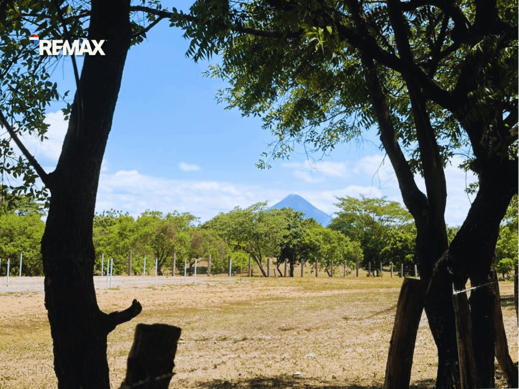 Amplia Finca Agrícola y Ganadera en Nagarote